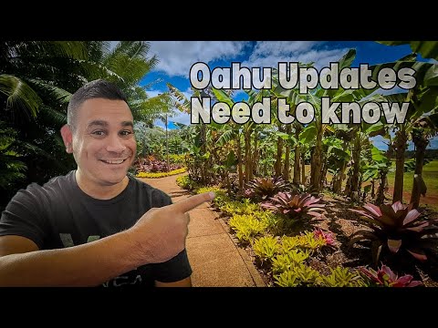 Things to Know Before you go to Oahu Hawaii 2025